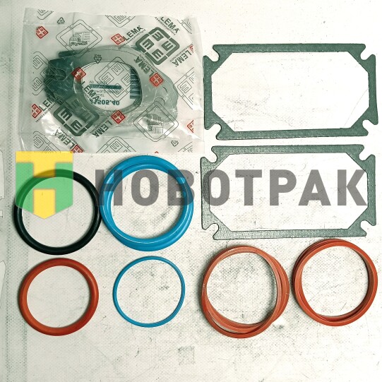 Комплект прокладок коллектора(впуск-выпуск) Volvo 2180555