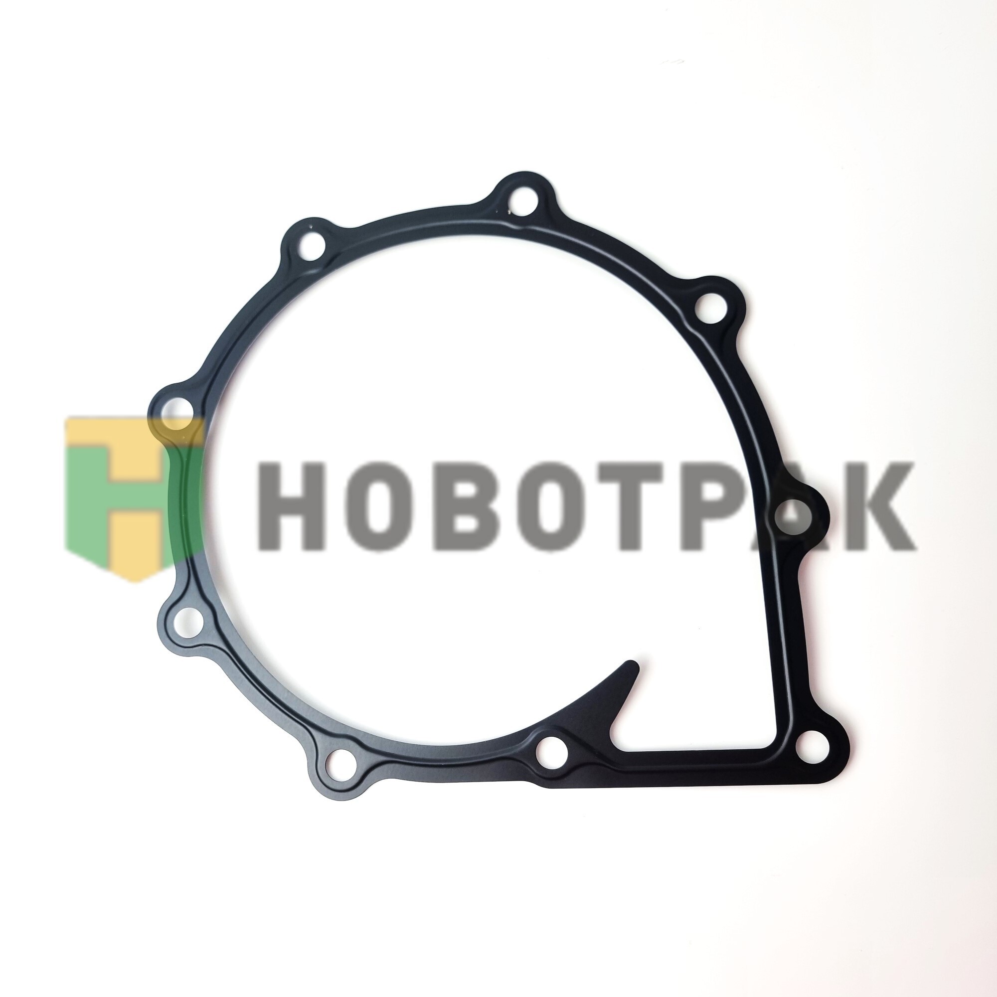 Прокладка водяного насоса D2066 025028