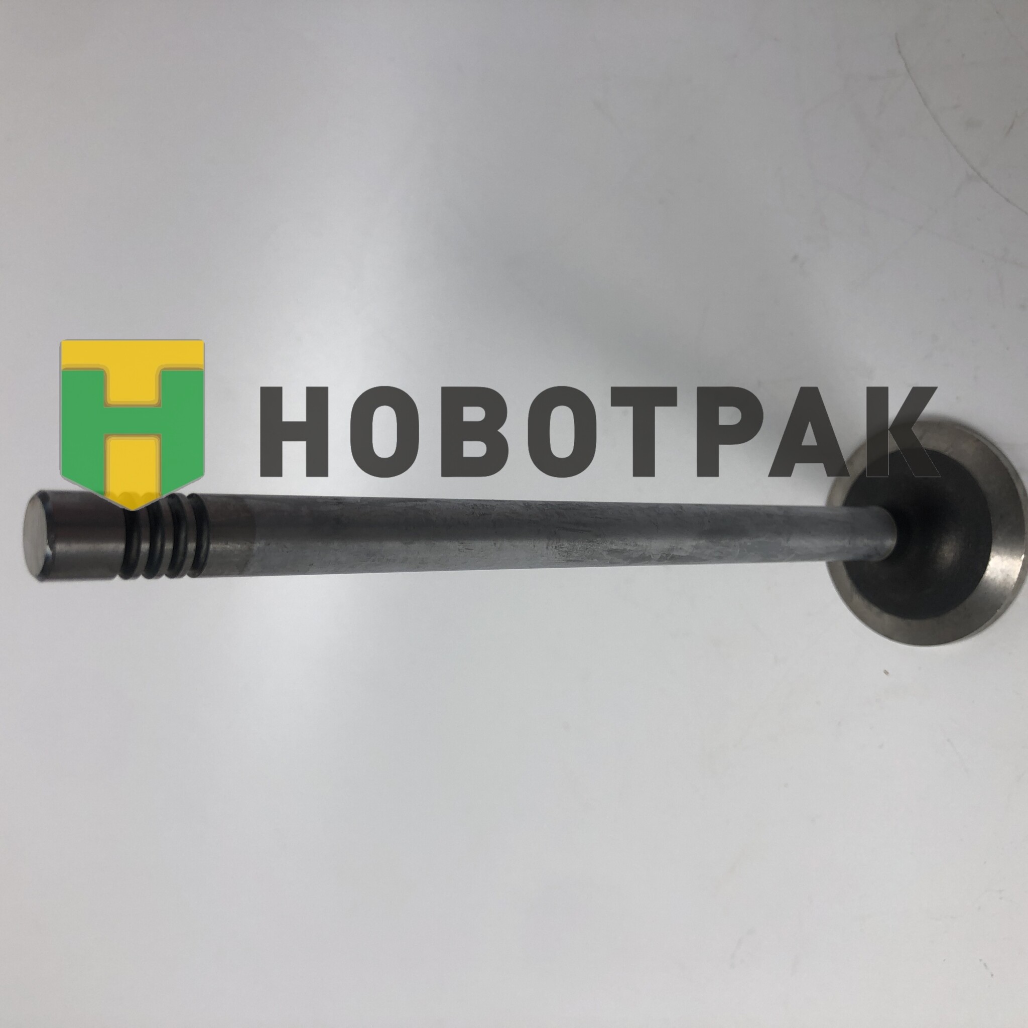 Клапан впускной (фаска 20гр.) DAF MX13-480FT EURO6 10.0x44.0x170 (2189942)