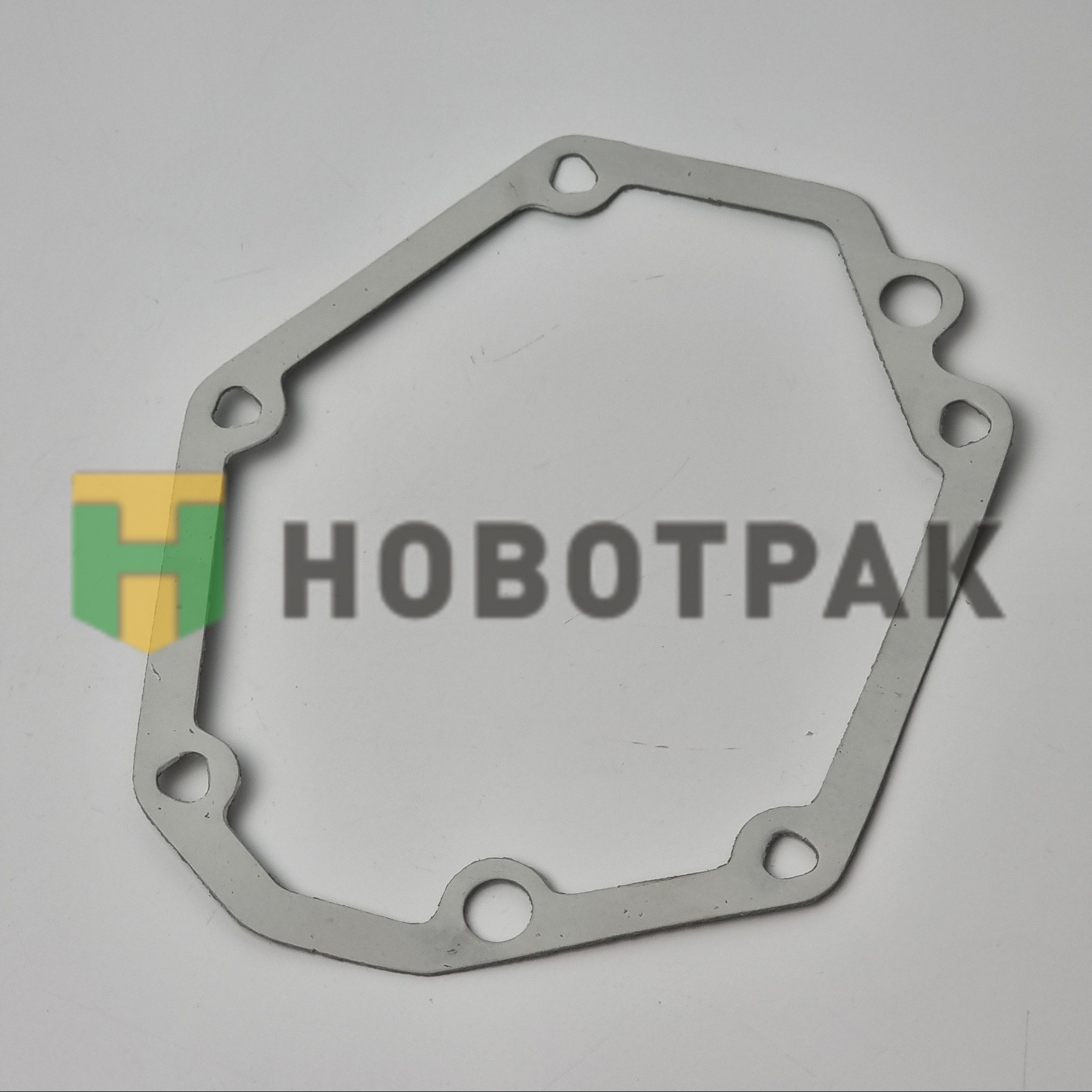 Прокладка насоса ГУР SCANIA 124901