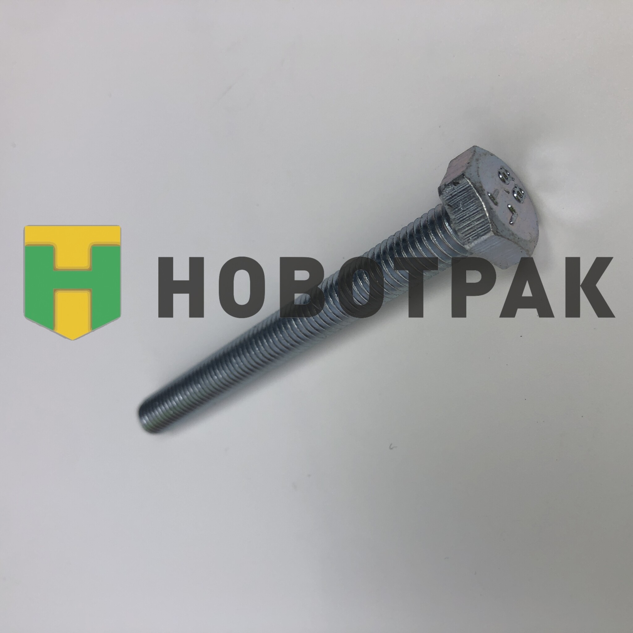 Болт М10-1.5 L-100 005710100