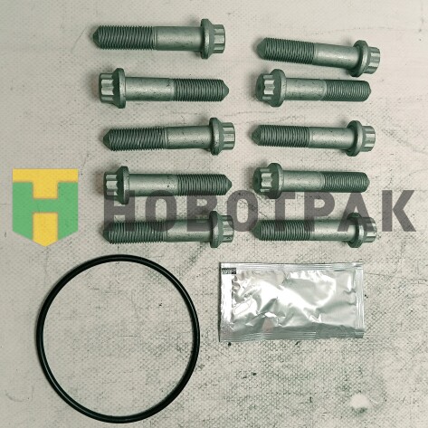 Комлект монтажный диска SAF (болты+кольцо+смазка) 075620