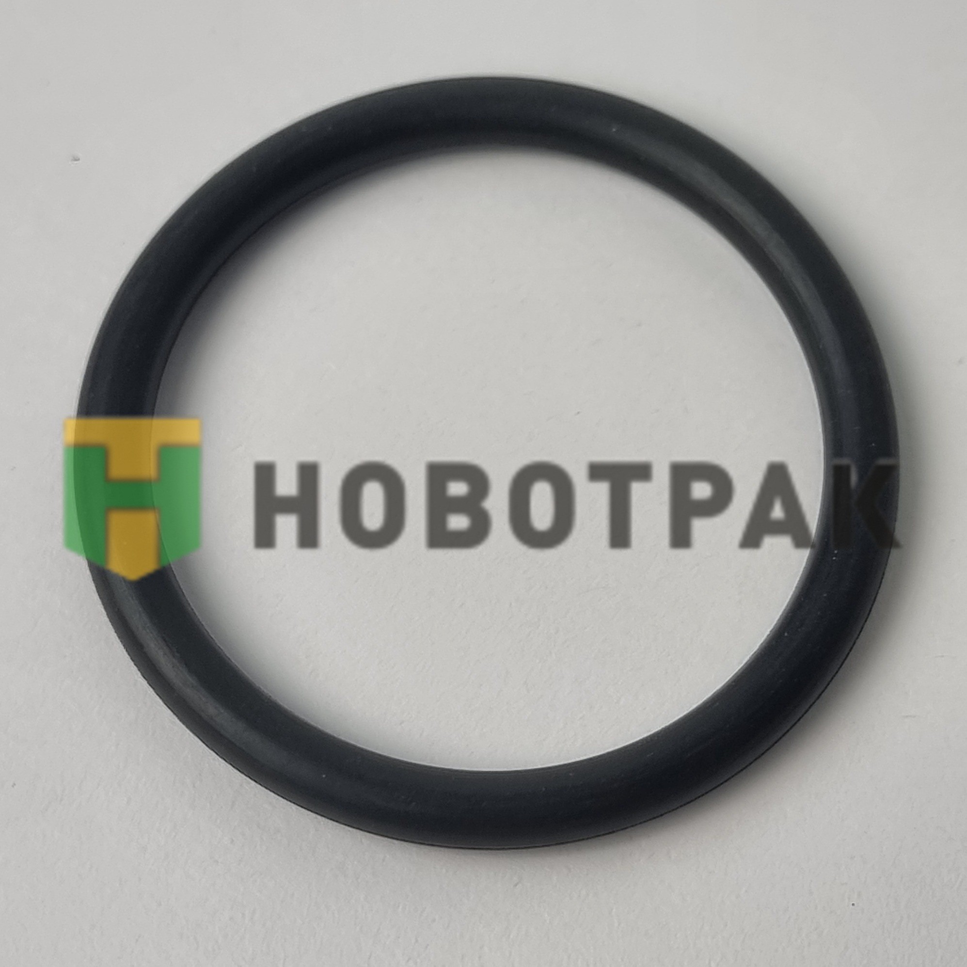 Кольцо уплотнительное вала тормозного RVI 115587