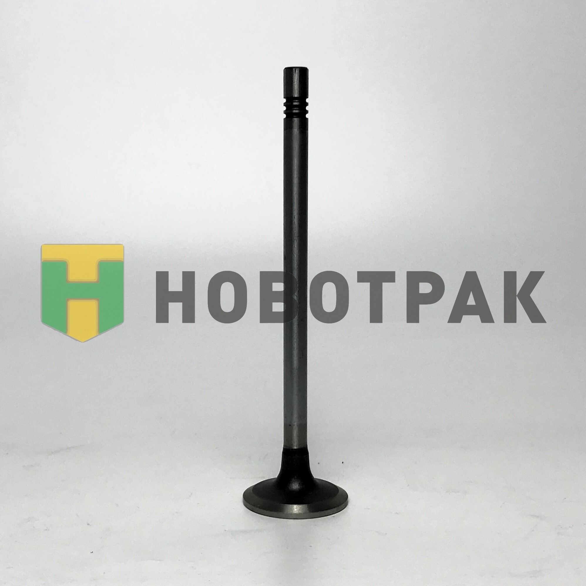 Клапан впуск D2676 LF51 Euro6 51041010695