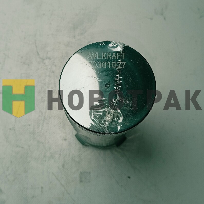 Фильтр топливный Foton (элемент) 70301027