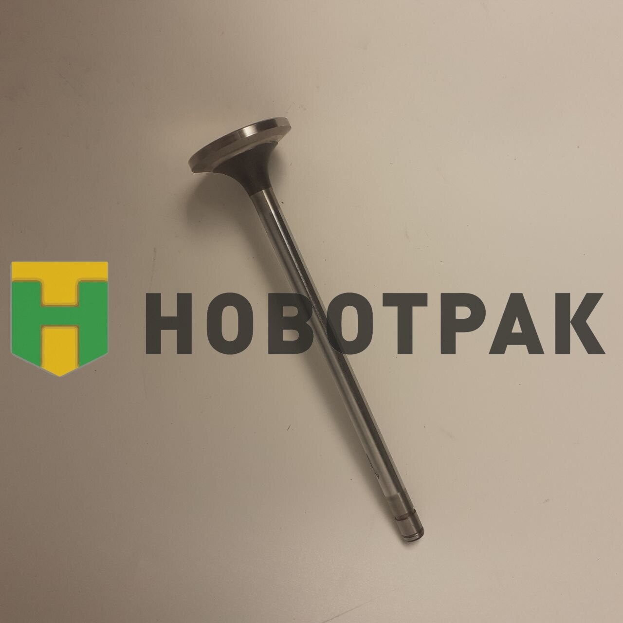 Клапан впускной RVI AE Magnum 7425502377