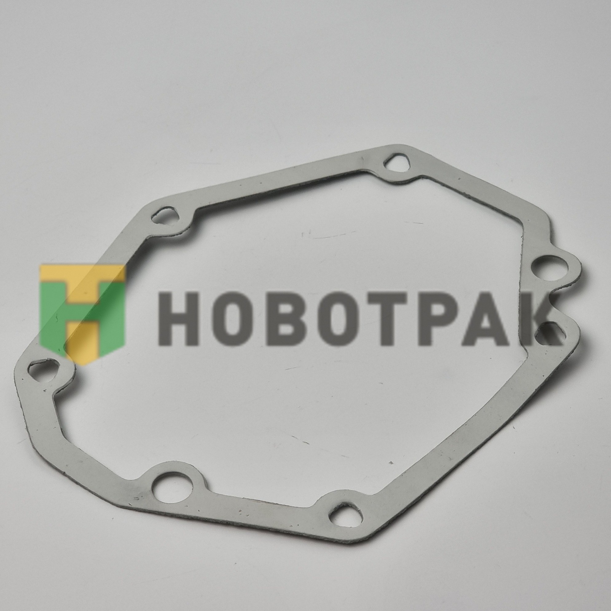 Прокладка насоса ГУР SCANIA 124901