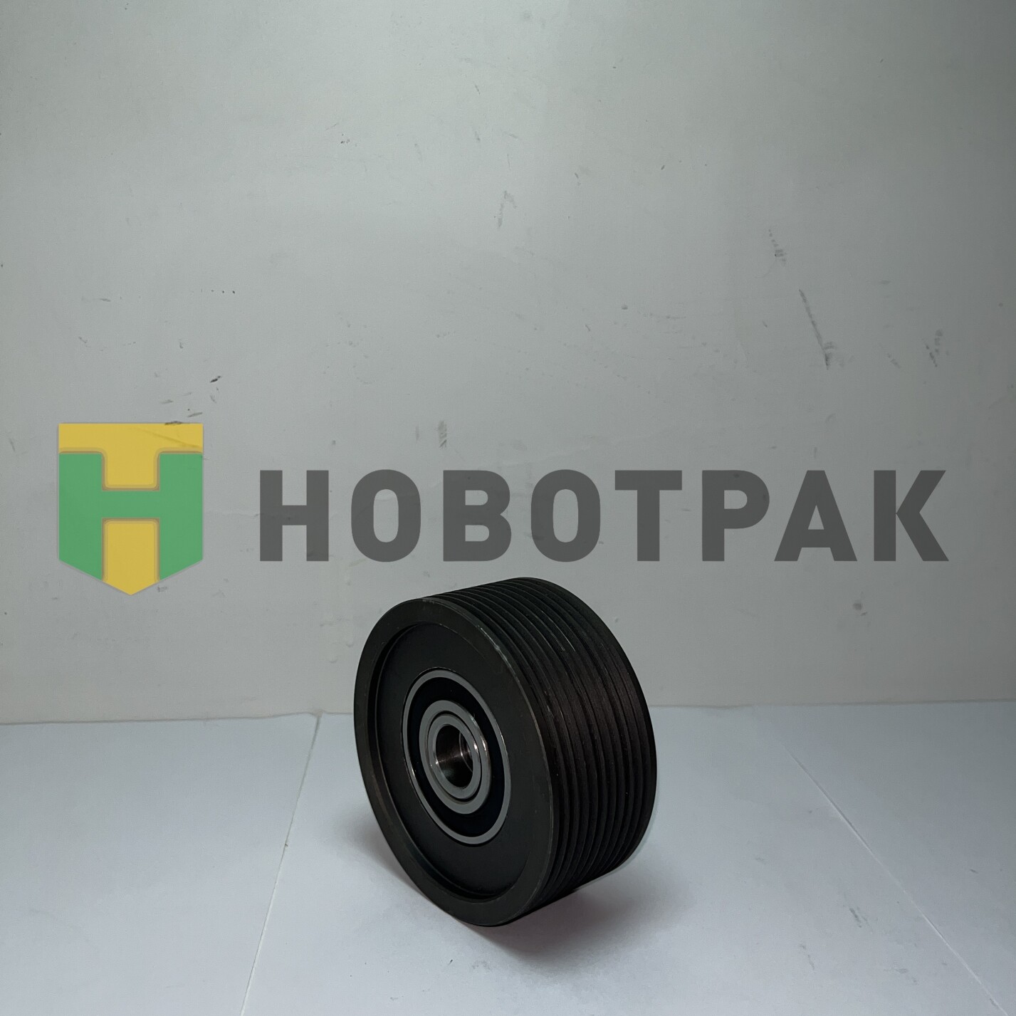Ролик натяжителя ремня Renault / Volvo FH,FM,FMX,NH 21891328