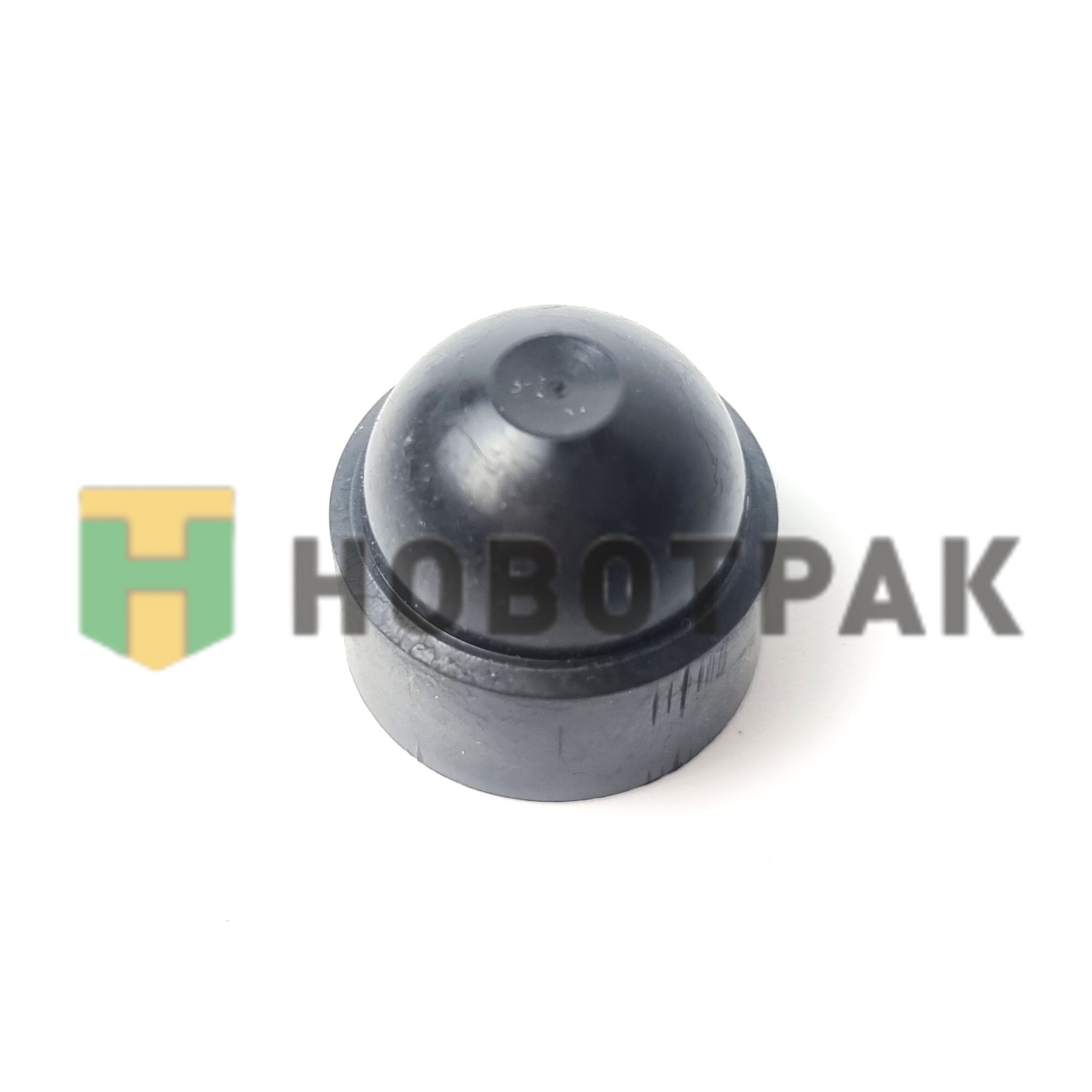 Колпачек защитный на бампер RVI 5003074055
