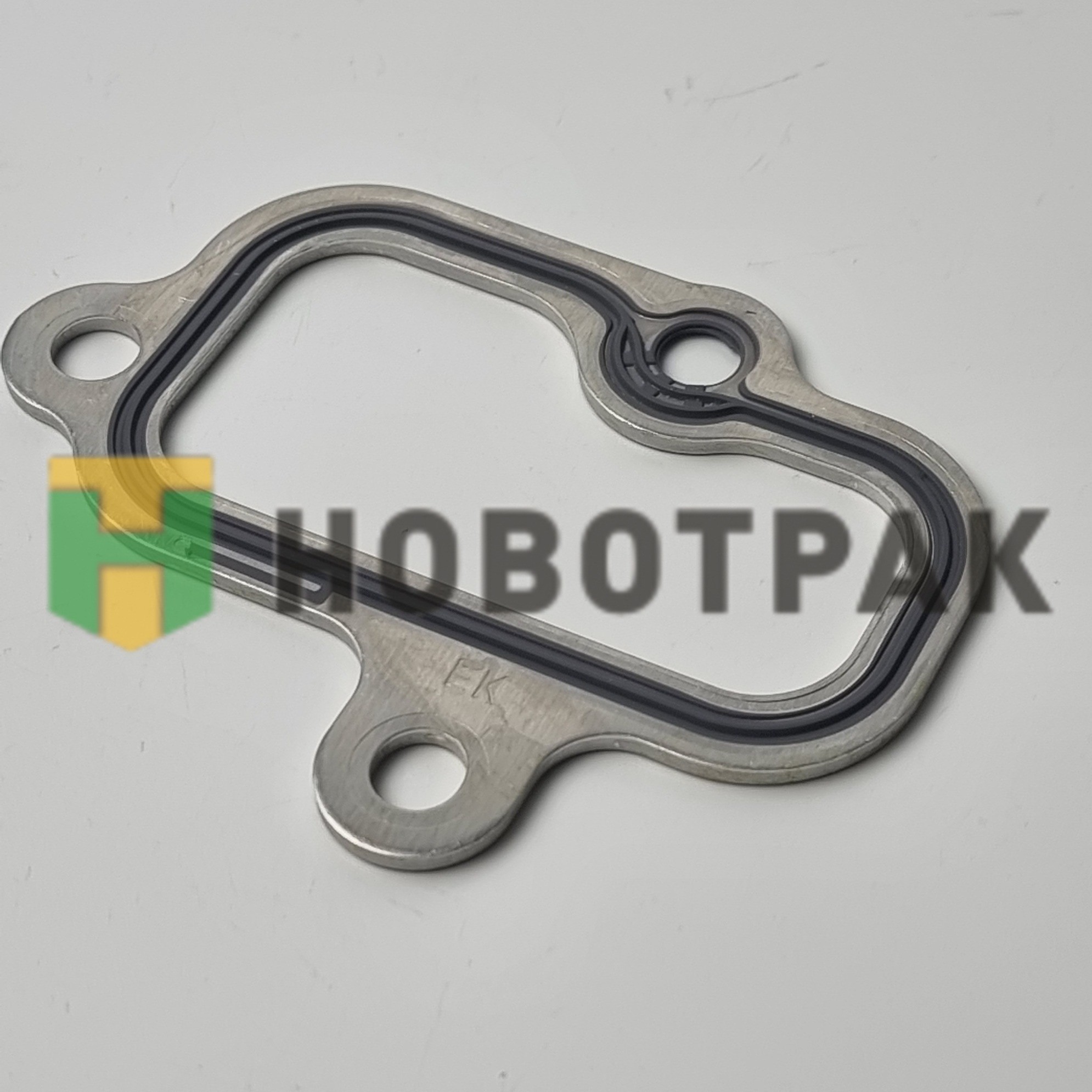 Прокладка коллектора /впуск 100040