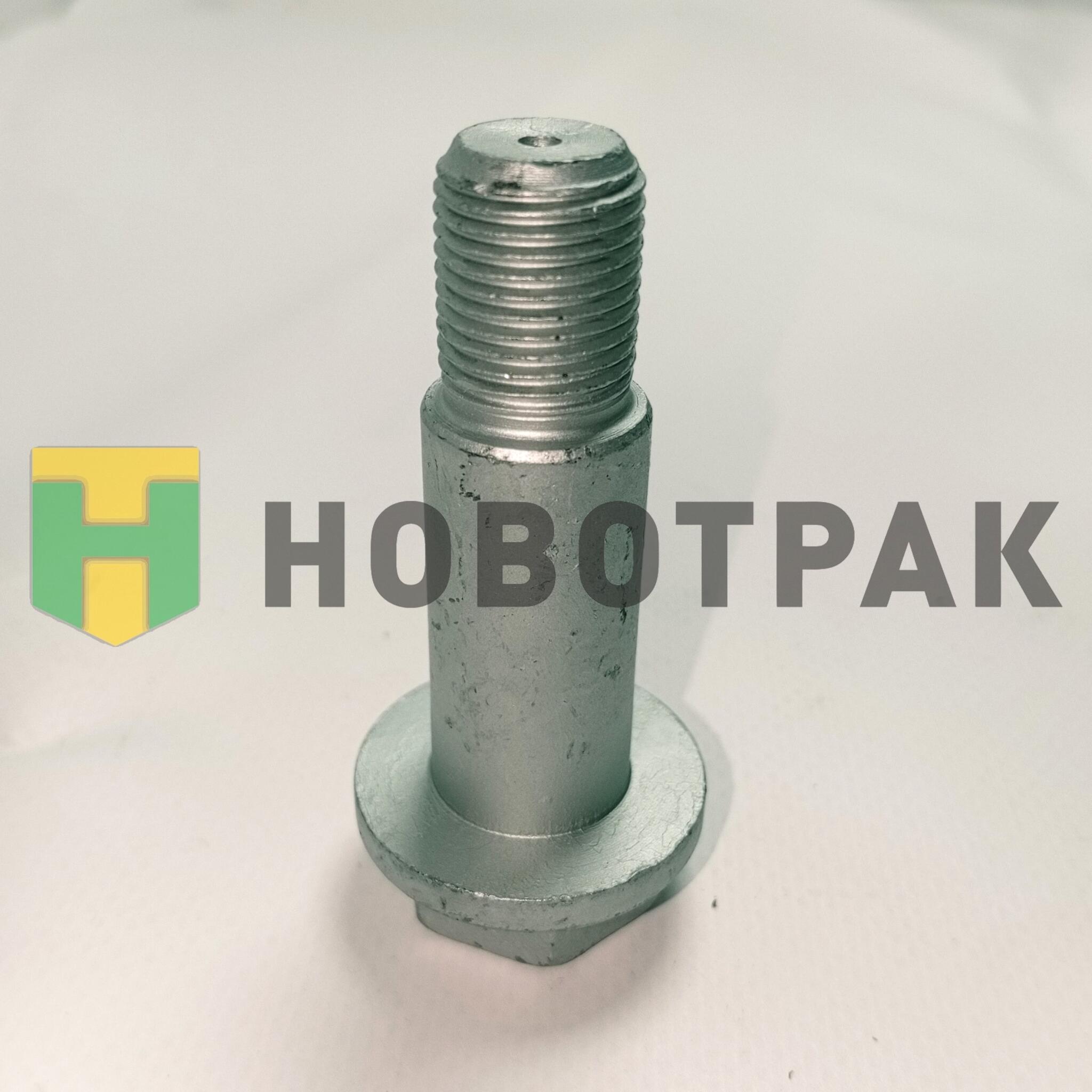 Болт суппорта тормозного M18*1,5*60/21 209295